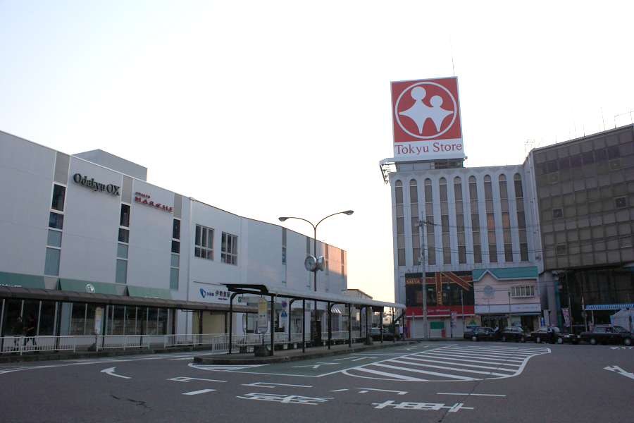 伊勢原市を熟知するペーパードライバー講習
